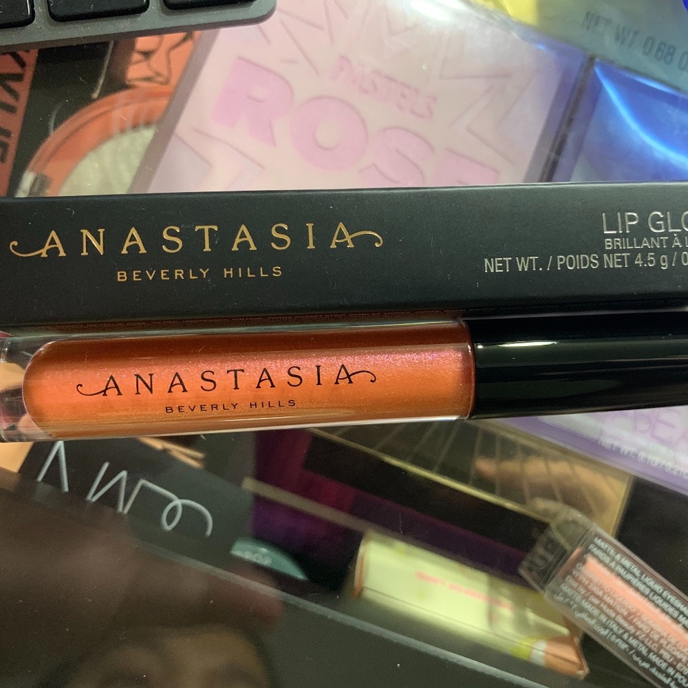 BNIB/NWT Anastasia Beverly Hill Lip Gloss